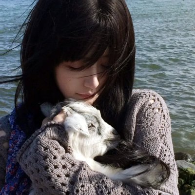 龙城谜案 海报